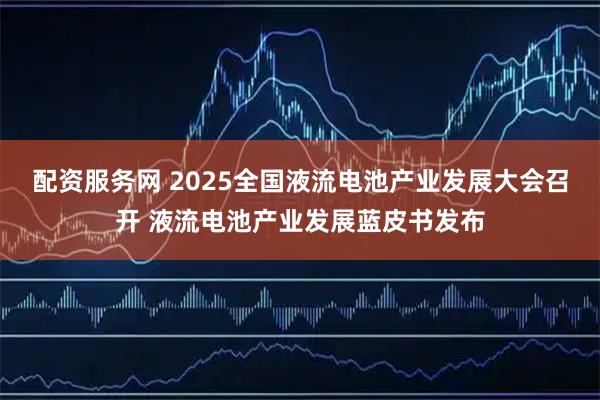 配资服务网 2025全国液流电池产业发展大会召开 液流电池产业发展蓝皮书发布